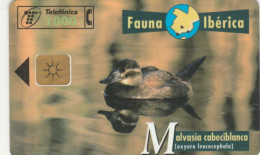 PHONE CARD SPAGNA FAUNA IBERICA (CK7184 - Emissioni Di Base