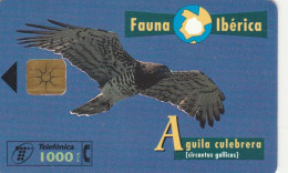 PHONE CARD SPAGNA FAUNA IBERICA (CK7189 - Basic Issues