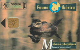 PHONE CARD SPAGNA FAUNA IBERICA (CK7183 - Emissioni Di Base