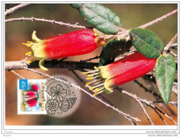 FDC CARTE MAXI 8 AVRIL 1999 NATIVE FUSCHIA - FDC