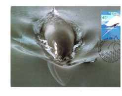 CARTE MAXI 15 JUIN 1995 BALEINE - Cartoline Maximum