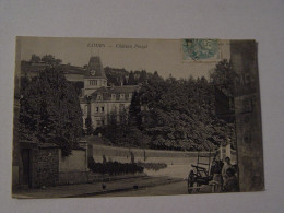 RHONE-COURS-CHATEAU POIZAT ANIMEE - Cours-la-Ville