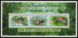 Kokos-Inseln 1992 - Mi-Nr. Block 12 ** - MNH - Vögel / Birds - Isole Cocos (Keeling)
