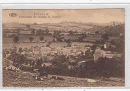 Polleur. Panorama Du Moulin De Polleur. * - Theux