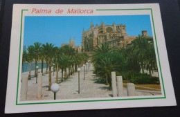 Palma De Mallorca - La Catedral - Ediciones Palma - # 1.126 A - Kirchen U. Kathedralen