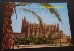 Palma De Mallorca - La Catedral - Fotoperator, Palma De Mallorca - # 1.549 - Kirchen U. Kathedralen