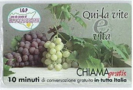 CHIAMAGRATIS NUOVA DT 810 COMUNE MAZZARRONE - Private-Omaggi