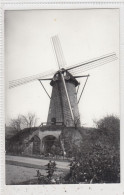 Hoogstraten. Salm-Salmmolen. * - Hoogstraten