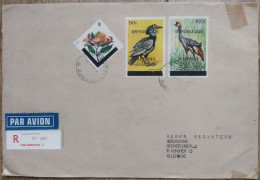 Burundi COB 197 & 198 Sur Lettre Cover 1967 Birds Oiseaux - Cartas