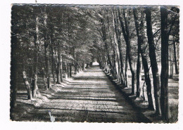 B-9786  DOMEIN BOKRIJK : De Donkere Dreef - Genk