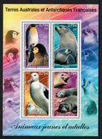 TAAF - YV BF 8 N** MNH Luxe , Faune Antarctique - Blocs-feuillets