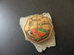 Old Badge Suisse Svizzera Switzerland - Fête Cantonale De Gymnastique Genève Vernier 1995 - Non Classés