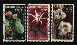 SOMALIA - AFIS - 1955 - FIORI - FILIGRANA RUOTA - USATI - Somalië (AFIS)