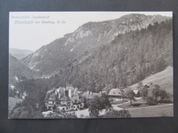 AK Steinbach Göstling An Der Ybbs B. Scheibbs Ca. 1915   // D*57698 - Scheibbs