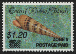 Kokos-Inseln 1991 - Mi-Nr. 244 ** - MNH - Meeresschnecken / Marine Snails (III) - Cocos (Keeling) Islands