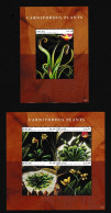 Palau 2012 Carnivorous Plants - Palau