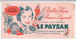 Buvard 19.8 X 9.7 Les Graines LE PAYSAN Sachets Illustrés Imprimerie Rullière Frères Avignon Belles Fleurs Beaux Légumes - Farm