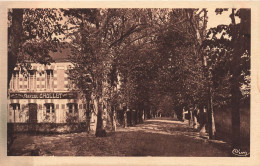 FRANCE - Romorantin - Mail Des Tilleuls - Carte Postale Ancienne - Romorantin