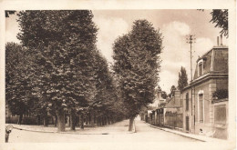 FRANCE - Romorantin - Le Mail Des Platanes - Carte Postale Ancienne - Romorantin