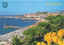 FRANCE - Cannes - Panorama De La Plage - Colorisé - Carte Postale - Cannes