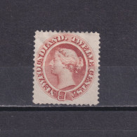 NEWFOUNDLAND CANADA 1870, SG# 33, CV £60, Queen Victoria, NG - 1865-1902
