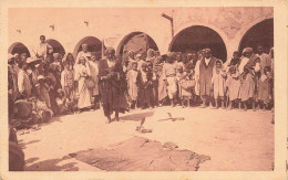 TUNISIE - Sud Tunisie - Un Charmeur De Serpents - Carte Postale Ancienne - Tunisia