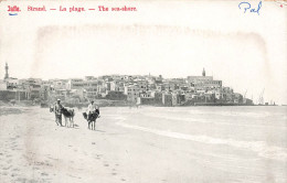 ISRAEL - Jaffa - Strand - La Plage - Ânes - Vue Sur La Ville - Dos Non Divisé - Carte Postale - Israël