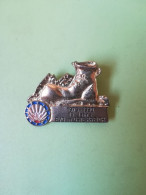 Medalla Antigua 1975 1990 15 Jahre Evg In Osterreich - Non Classés