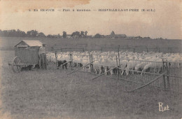 CPA 28 EN BEAUCE / PARC A MOUTONS / BOISVILLE LA SAINT PERE - Autres & Non Classés