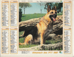 Calendrier-Almanach Des P.T.T 1987 Berger Allemand-Jument Et Poulain -OLLER Département AIN-01-Référence 432 - Grand Format : 1981-90