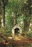 BELGIQUE - Durbuy - Bomal Sur Ourthe - Chapelle De Saint Rahi -  Colorisé - Carte Postale - Durbuy