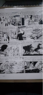 La Vie De THOMAS BATA TIBET Bd Must 2022 - Original Drawings