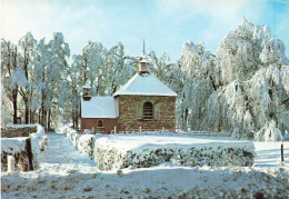 BELGIQUE - Jalhay - Baraque Michel - Hautes Fagnes - La Chapelle Fiscbach - Colorisé - Carte Postale - Jalhay