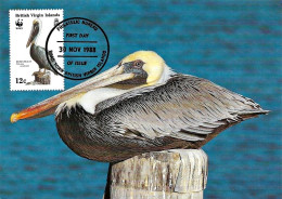 British Virgin Islands 1988, Brown Pelican - Maximum Card - Pelikane