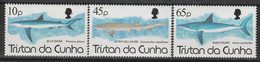 TRISTAN DA CUNHA - N°541/3 ** (1994) Requins - Tristan Da Cunha