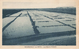 Bourgneuf En Retz * Les Marais Salants * Thème Paludier Sel Salt - Bourgneuf-en-Retz