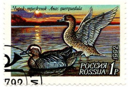RUSSIA - 1992 - Uccelli - Anatre - Usato - Gebruikt