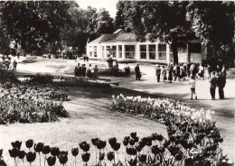 LUXEMBOURG - Mondorf Les Bains - Les Thermes - Jardin - Carte Postale - Bad Mondorf