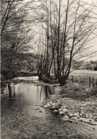 BELGIQUE - Nassogne En Ardenne - Hôtel - Beau Séjour - Carte Postale - Nassogne