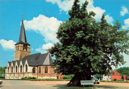 BELGIQUE - Massemen - Église - Carte Postale - Other & Unclassified