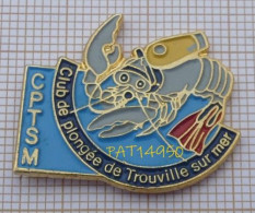 PAT14950 CPTSM CLUB De PLONGEE  De TROUVILLE Sur MER CREVETTE GRISE HOMARD - Duiken