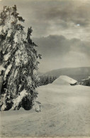 Suisse - Swiss - Schweiz - Vaud - St Cergue - Saint Cergue - Paix D'hiver - état - Saint-Cergue