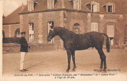 CPA 61 HARAS DU PIN  / INTERMEDE / TROTTEUR FRANCAIS PAR BEMECOURT ET JAMES WATT A L'age De 20ANS - Autres & Non Classés