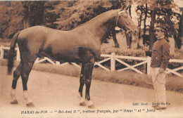 CPA 61 HARAS DU PIN  / BEL AMI II / TROTTEUR FRANCAIS PAR OMAR ET JEWIS - Sonstige & Ohne Zuordnung