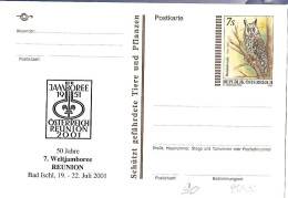 Austria - Postal Stationery 2001 - Long-eared Owl - Asio Otus - Scouts Jamboree - Tauben & Flughühner