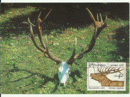 Carte Maximum - Bulgarie - Cerf Élaphe - Ours Brun - Red Deer - Veado Vermelho - Cervus Elaphus - Storia Postale