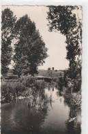 Cpsm Format Cpa.10. SOLESMES . VUE SUR LA SELLE .  CARTE AFFR AU VERSO  .  2 SCANNES - Solesmes