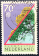 Nederland - C1/14 - 1986 - (°)used - Michel 1293 - Europa - Natuurbescherming - SITTARD - Gebruikt