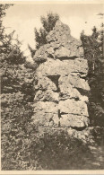 LU. DIEKIRCH - L'Autel Du Diable (Dolmen Celtique). - Diekirch