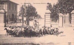 13 / MARSEILLE / EDITEUR NANCY 4 / LES NOUVEAUX ABATTOIRS - Südbezirke, Mazargues, Bonneveine, Pointe Rouge, Calanque-Felsen